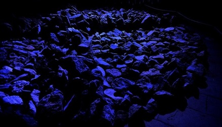 PALAZZO RISO Palermo. Fotografie di Giulio Azzarello ©2020. PALAZZO RISO Palermo. Fotografie di Giulio Azzarello ©2020.