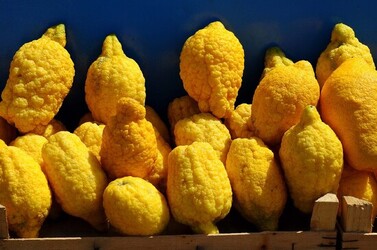 MONDELLO in Sicilia a Palermo. Fotografie di Giulio Azzarello ©2014.