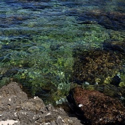 BAIA DEL CORALLO. Fotografie di Giulio Azzarello &copy;2022.