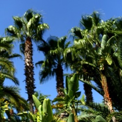 SELINUNTE. Fotografie di Giulio Azzarello ©2022. SELINUNTE. Fotografie di Giulio Azzarello ©2022.