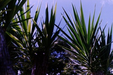 DIGITALIZZAZIONI fotografie di Giulio Azzarello &copy;2020.