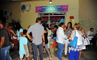 NEGOZIO di ANIMALI. Fotografie di Giulio Azzarello ©2018. NEGOZIO di ANIMALI. Fotografie di Giulio Azzarello ©2018.