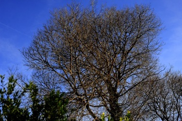CAMPAGNA fotografie di Giulio Azzarello ©2020.
