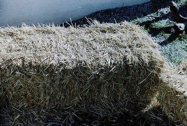 DIGITALIZZAZIONI fotografie di Giulio Azzarello &copy;2020.