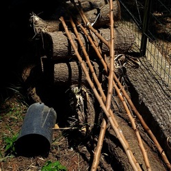 GIARDINO SICILIANO. Fotografie di Giulio Azzarello ©2022. GIARDINO SICILIANO. Fotografie di Giulio Azzarello ©2022.