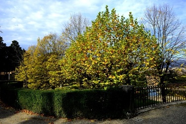 FIRENZE PALAZZO PITTI e GIARDINO DI BOBOLI. Fotografie di Giulio Azzarello &copy;2022.