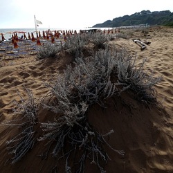 SELINUNTE. Fotografie di Giulio Azzarello &copy;2022.