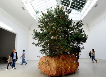 PADIGLIONI alla Biennale di Venezia. Foto di Giulio Azzarello &copy;2015 2016.