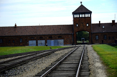 AUSCHIWITZ BIRKENAU il luogo della storia il campo. Fotografie di Giulio Azzarello &copy;2016.