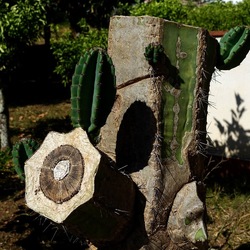 GIARDINO SICILIANO. Fotografie di Giulio Azzarello ©2022. GIARDINO SICILIANO. Fotografie di Giulio Azzarello ©2022.