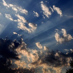 CAMPEGGIO fotografie di Giulio Azzarello ©2019. CAMPEGGIO fotografie di Giulio Azzarello ©2019.