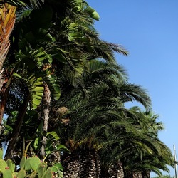 SELINUNTE. Fotografie di Giulio Azzarello ©2022. SELINUNTE. Fotografie di Giulio Azzarello ©2022.