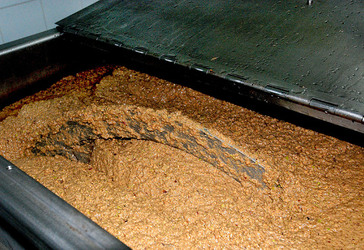 TIPICO FRANTOIO fotografie di Giulio Azzarello ©2014. TIPICO FRANTOIO fotografie di Giulio Azzarello ©2014.