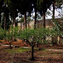 AUTUNNO fotografie di Giulio Azzarello ©2021. AUTUNNO fotografie di Giulio Azzarello ©2021.