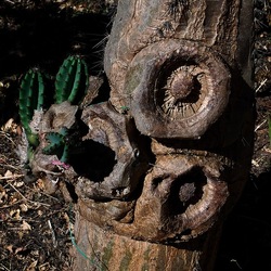 GIARDINO fotografie di Giulio Azzarello ©2019. GIARDINO fotografie di Giulio Azzarello ©2019.