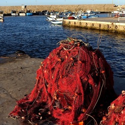 RETI DA PESCA. Fotografie di Giulio Azzarello &copy;2022.