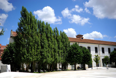 MUSEO MAXXI contemporaneo a Roma panoramiche e particolari. Fotografie di Giulio Azzarello ©2014. MUSEO MAXXI contemporaneo a Roma panoramiche e particolari. Fotografie di Giulio Azzarello ©2014.
