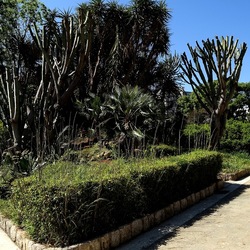 GIARDINO. Fotografie di Giulio Azzarello ©2022.