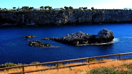 CAPO RAMA riserva naturale Terrasini. Fotografie di Giulio Azzarello &copy;2020.