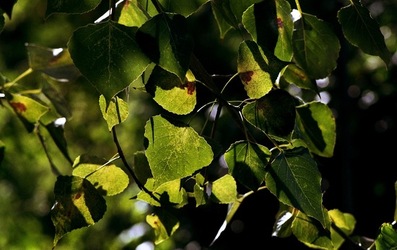 PALERMO fotografie di Giulio Azzarello ©2020.