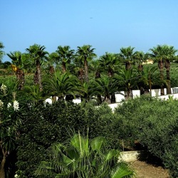 SELINUNTE. Fotografie di Giulio Azzarello ©2022. SELINUNTE. Fotografie di Giulio Azzarello ©2022.