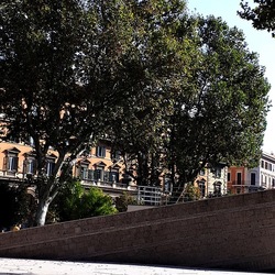 ROMA fotografie di Giulio Azzarello &copy;2022.