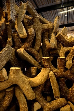 VENEZIA Padiglione Emirati Arabi Arsenale. Biennale Arch. Cont. Fotografie di Giulio Azzarello &copy;2022.