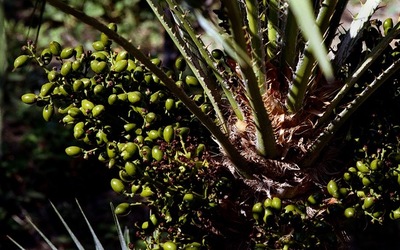 DIGITALIZZAZIONI fotografie di Giulio Azzarello &copy;2020.