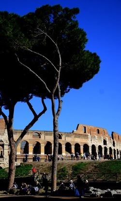 PARCO ARCHEOLOGICO DEL PALATINO Roma. Fotografie di Giulio Azzarello ©2020.