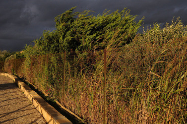 LUIGI PIRANDELLO il parco e la casa museo. Fotografie di Giulio Azzarello ©2014.