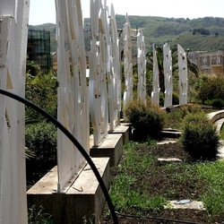 GIBELLINA. Fotografie di Giulio Azzarello &copy;2023.