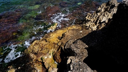 BAIA DEL CORALLO. Fotografie di Giulio Azzarello &copy;2022.