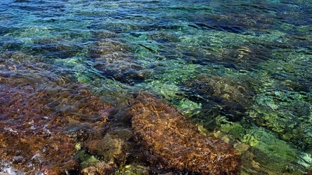 BAIA DEL CORALLO. Fotografie di Giulio Azzarello &copy;2022.