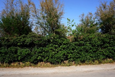 MONDELLO. Fotografie di Giulio Azzarello &copy;2023.