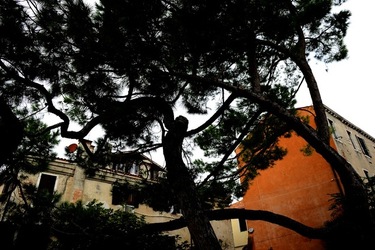 BIENNALE ARTI CONTEMPORANEE DI VENEZIA fotografie di Giulio Azzarello ©2020.