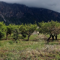 CAMMINANDO. Fotografie di Giulio Azzarello &copy;2024.