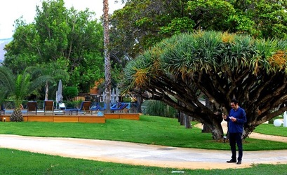 MOSTRA di PITTURA a MONDELLO. Fotografie di Giulio Azzarello &copy;2018.