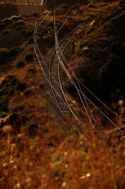 LUIGI PIRANDELLO il parco e la casa museo. Fotografie di Giulio Azzarello ©2014.