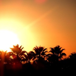 SELINUNTE. Fotografie di Giulio Azzarello ©2022. SELINUNTE. Fotografie di Giulio Azzarello ©2022.