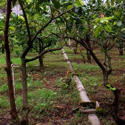 AUTUNNO fotografie di Giulio Azzarello ©2021. AUTUNNO fotografie di Giulio Azzarello ©2021.