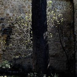 Arabo Normanno. Fotografie di Giulio Azzarello ©2024. Arabo Normanno. Fotografie di Giulio Azzarello ©2024.