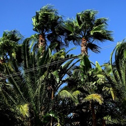 SELINUNTE. Fotografie di Giulio Azzarello ©2022. SELINUNTE. Fotografie di Giulio Azzarello ©2022.