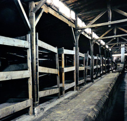 AUSCHWITZ BIRKENAU la memoria e la storia. Fotografie di Giulio Azzarello ©2016. AUSCHWITZ BIRKENAU la memoria e la storia. Fotografie di Giulio Azzarello ©2016.