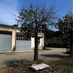 ZISA. Fotografie di Giulio Azzarello ©2023. ZISA. Fotografie di Giulio Azzarello ©2023.