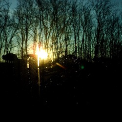 TRENO fotografie di Giulio Azzarello ©2020. TRENO fotografie di Giulio Azzarello ©2020.