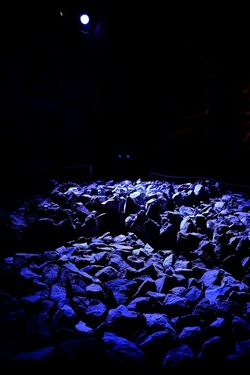 PALAZZO RISO Palermo. Fotografie di Giulio Azzarello ©2020. PALAZZO RISO Palermo. Fotografie di Giulio Azzarello ©2020.