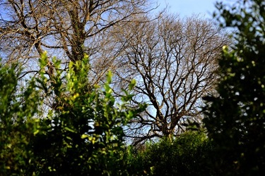 CAMPAGNA fotografie di Giulio Azzarello ©2020.