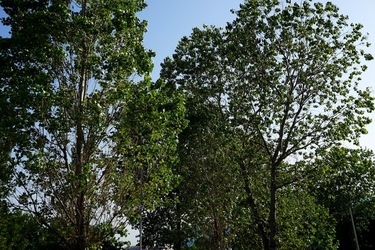 MONDELLO. Fotografie di Giulio Azzarello &copy;2023.