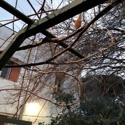 INVERNO. Fotografie di Giulio Azzarello &copy;2023.