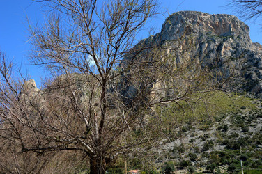 CAPO GALLO riserva marina e naturalistica a Palermo panoramiche e particolari. Fotografie di Giulio Azzarello ©2014. CAPO GALLO riserva marina e naturalistica a Palermo panoramiche e particolari. Fotografie di Giulio Azzarello ©2014.